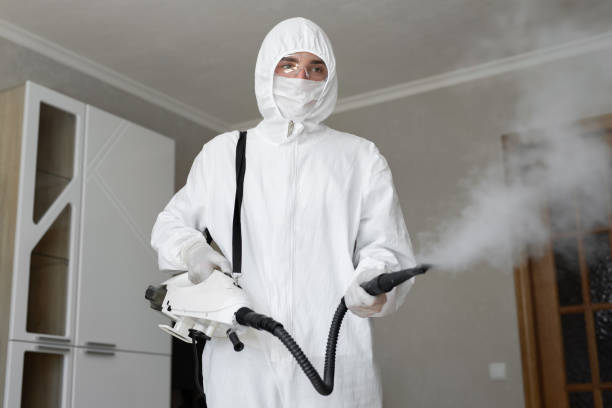 Why You Should Choose Our Mold Remediation Services in Mauston, WI